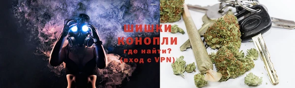 PSILOCYBIN Богородицк
