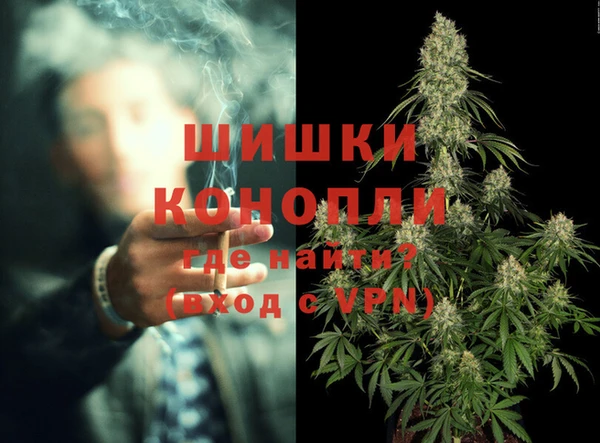 PSILOCYBIN Богородицк
