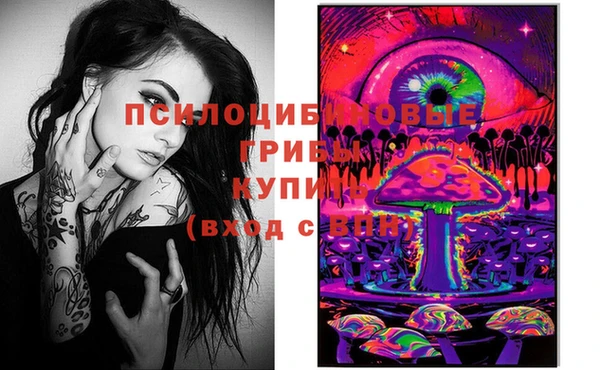 PSILOCYBIN Богородицк