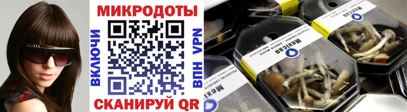 Псилоцибиновые грибы мухоморы  купить наркоту  Щигры 